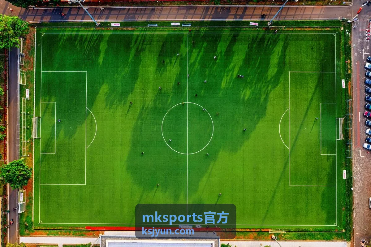 mksports官方智能运动心率带